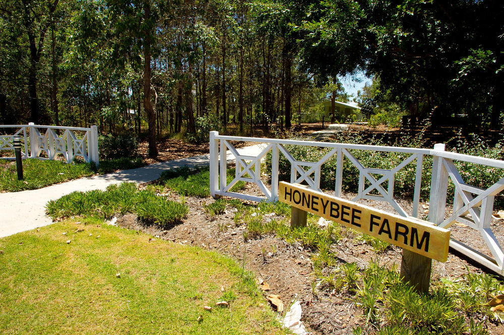 Honeybee Wellness Resort Kandanga Ngoại thất bức ảnh